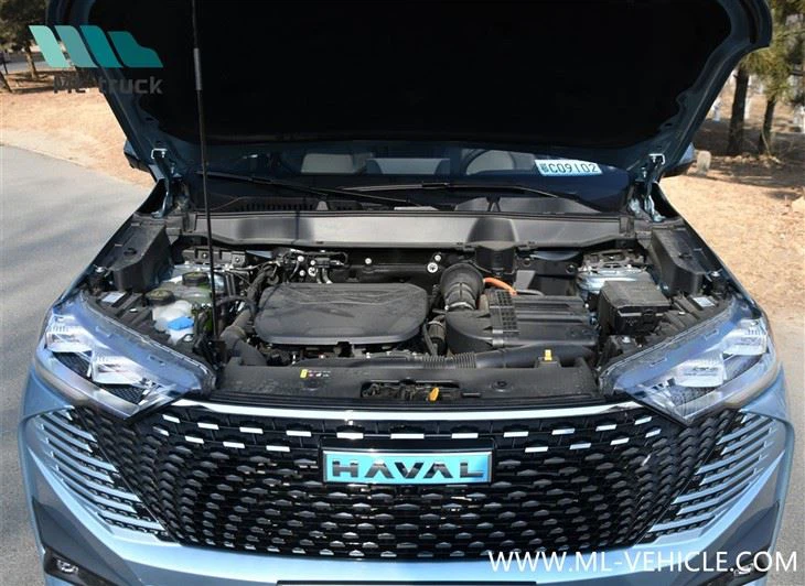 HAVAL H6 PHEV