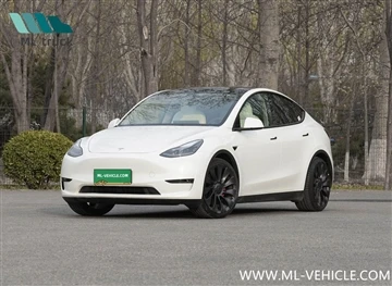 OTA Baharu Tesla: Sokongan Untuk Melaraskan Intensiti Brek Regeneratif