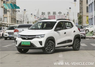 DongFeng EX1 PRO