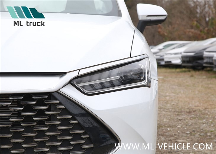 2024 BYD Qin Plus DMi Honor Edition