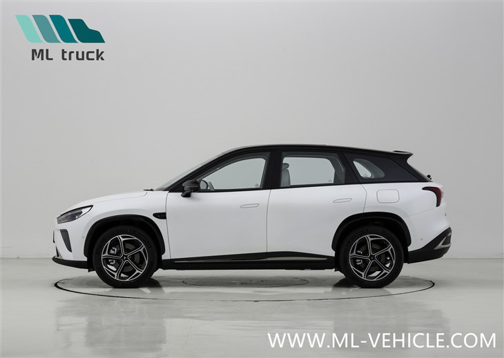 2024 NETA L Reev SUV