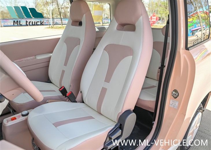 2024 ZHIDO Rainbow EV Car