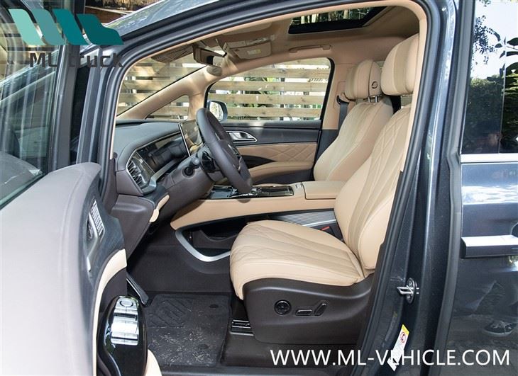 2025 BYD Denza D9 EV MPV