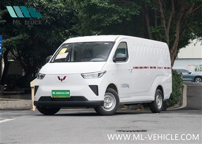 2024 SAIC GM WuLing YangGuang EV Van