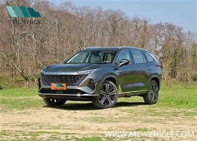 SUV Saic Roewe RX9 2023